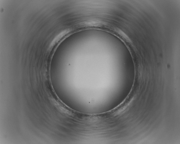 X0000067950930200604272055