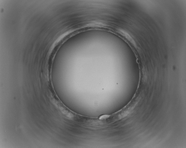 X0000067950931200604272056