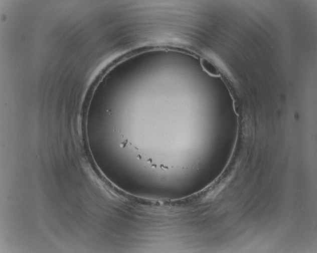 X0000067950932200604272056