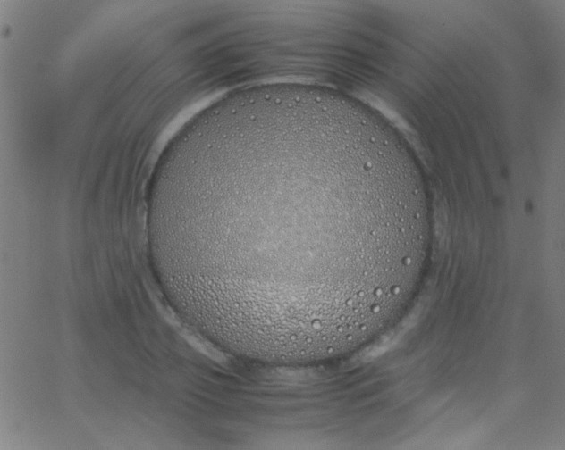 X0000067950933200604272056