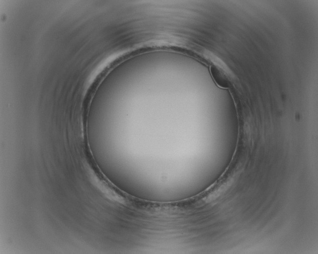 X0000067950934200604272056