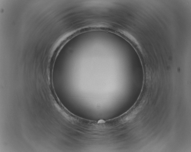 X0000067950935200604272056