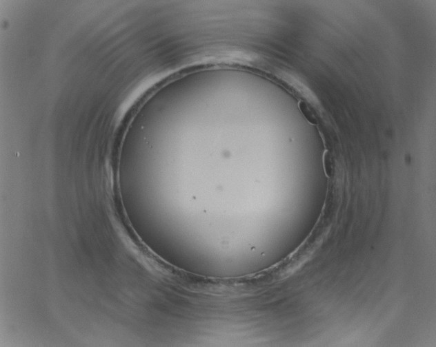 X0000067950936200604272056