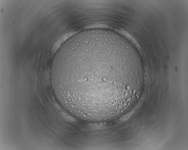 X0000067950937200604272056