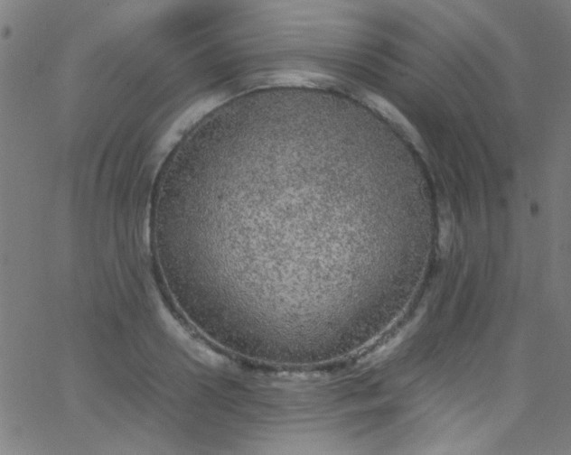 X0000067950938200604272056