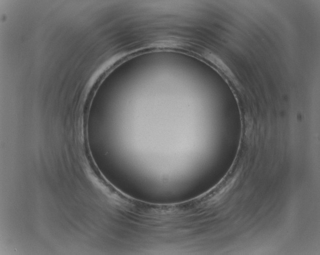 X0000067950939200604272056