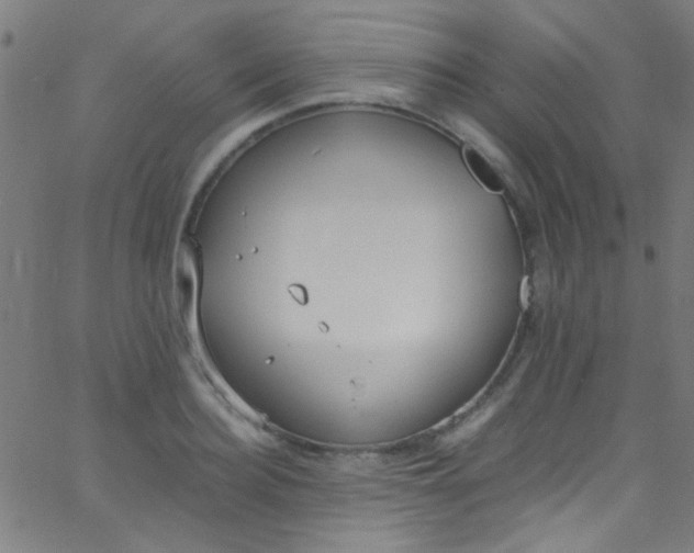 X0000067950940200604272056