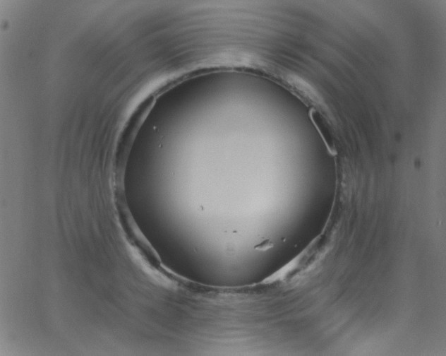 X0000067950942200604272056