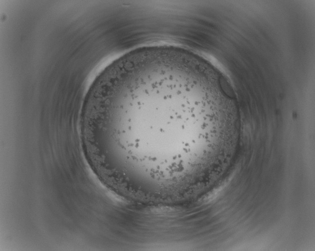 X0000067950943200604272056