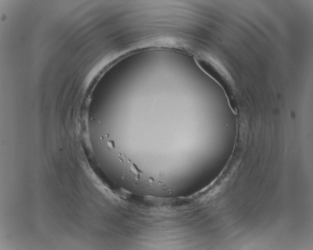 X0000067950944200604272056