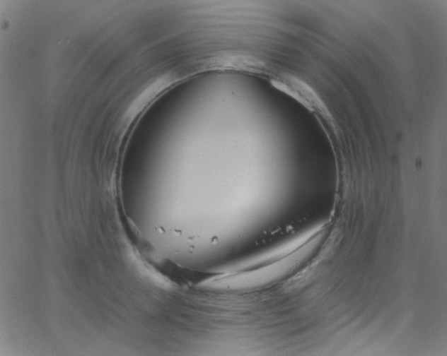 X0000067950946200604272056