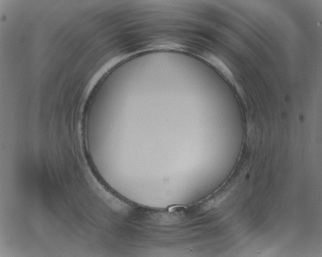 X0000067950947200604272056