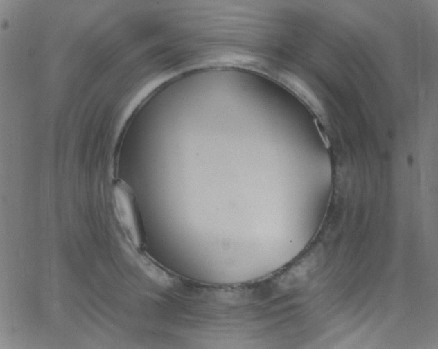 X0000067950948200604272056