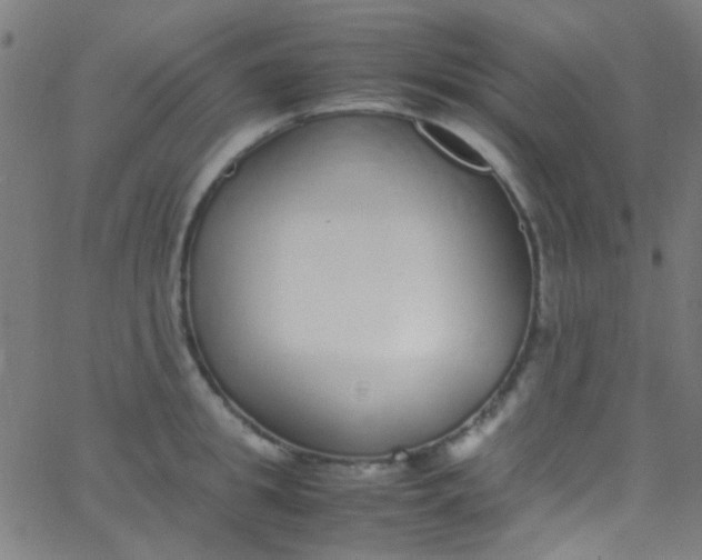 X0000067950949200604272056