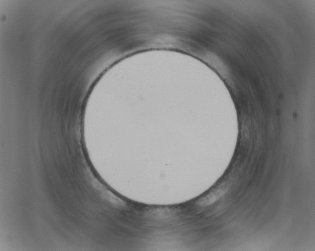 X0000067950950200604272056