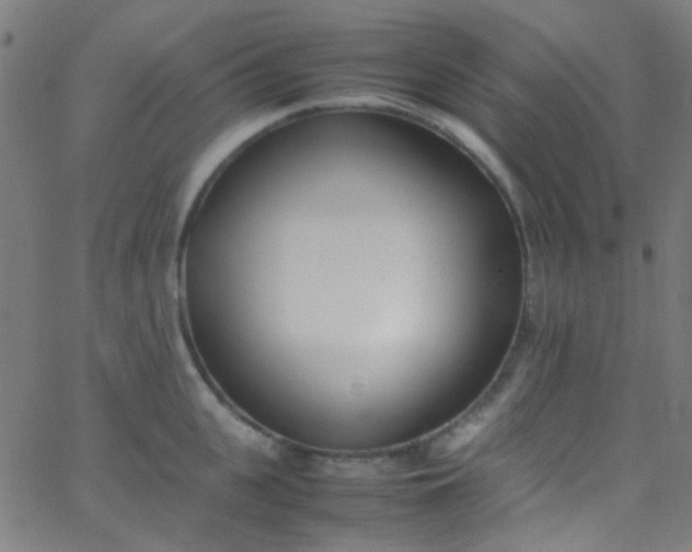 X0000067950951200604272056