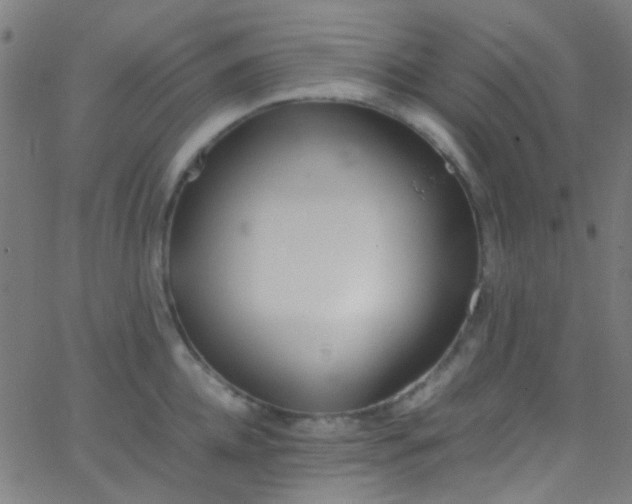 X0000067950952200604272056