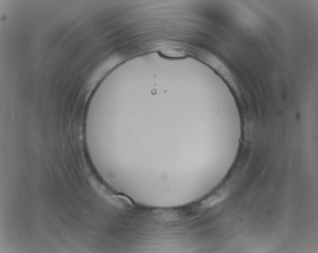 X0000067950954200604272056