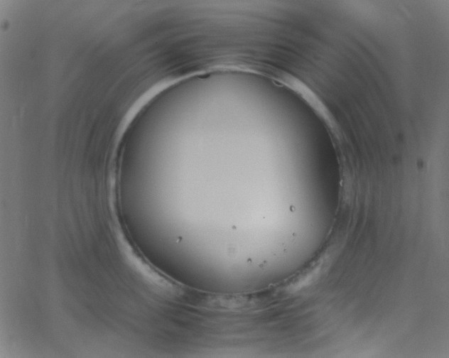 X0000067950955200604272056