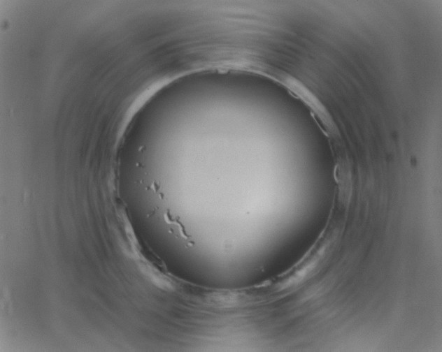 X0000067950956200604272056