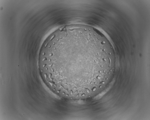 X0000067950957200604272056