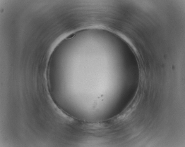 X0000067950959200604272056