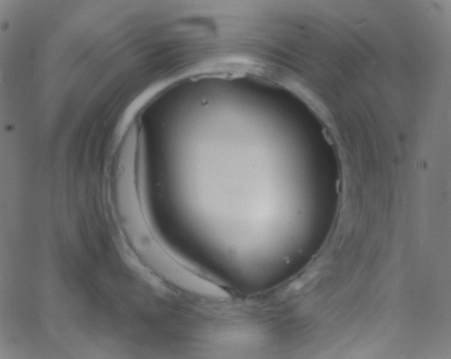 X0000067950960200604272056