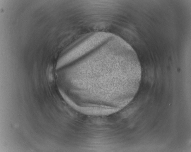 X0000067950962200604272055