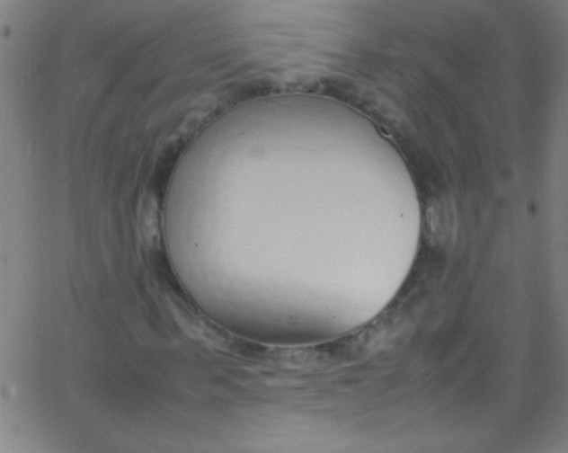 X0000067950963200604272055