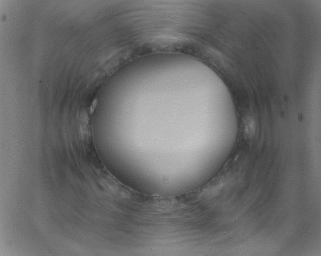 X0000067950964200604272055