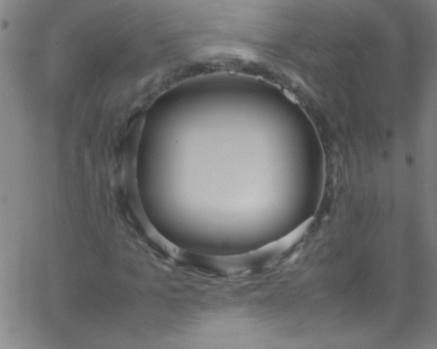 X0000067950965200604272055