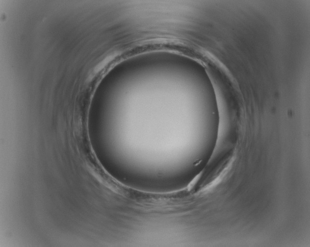 X0000067950969200604272055