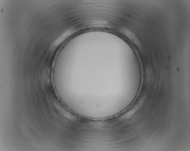 X0000067950970200604272055