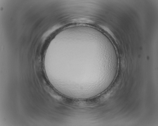 X0000067950971200604272055