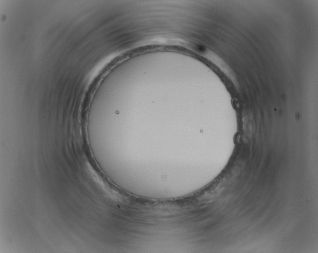 X0000067950972200604272055