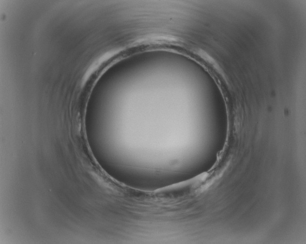 X0000067950973200604272055