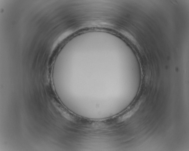 X0000067950974200604272055