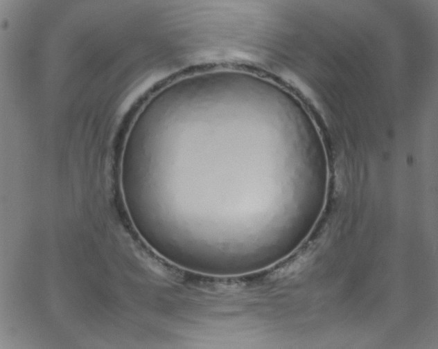 X0000067950975200604272055