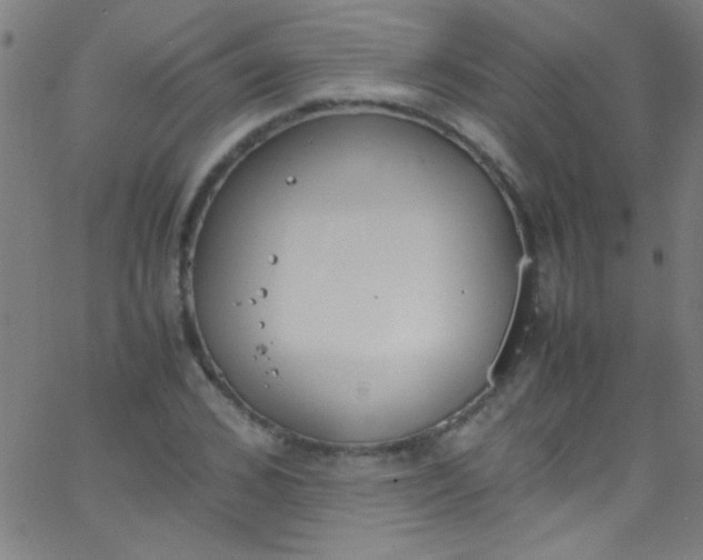 X0000067950976200604272055