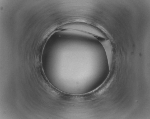 X0000067950977200604272055