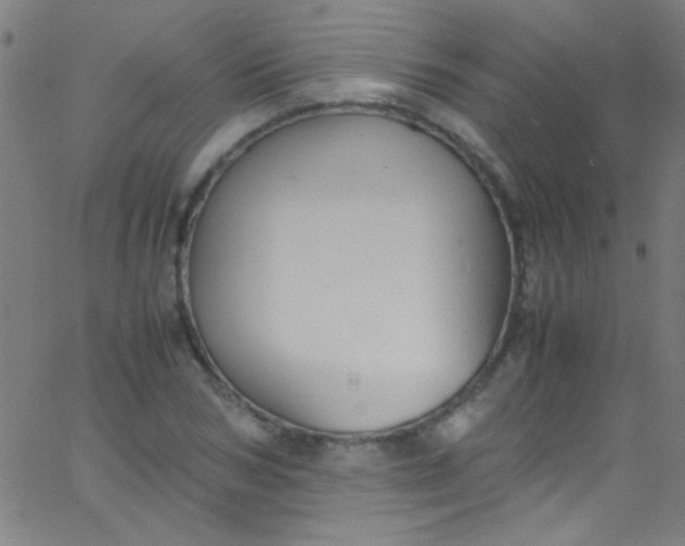 X0000067950978200604272055