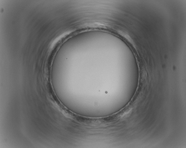 X0000067950979200604272055