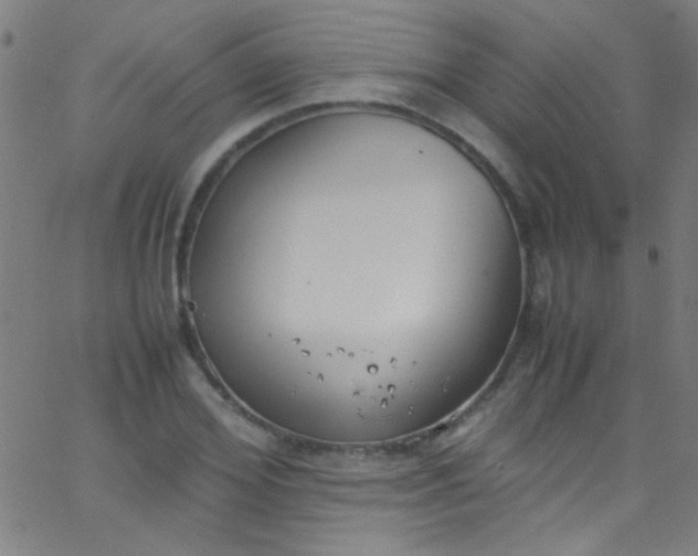 X0000067950980200604272055