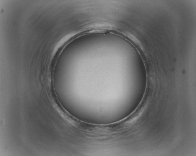 X0000067950981200604272055