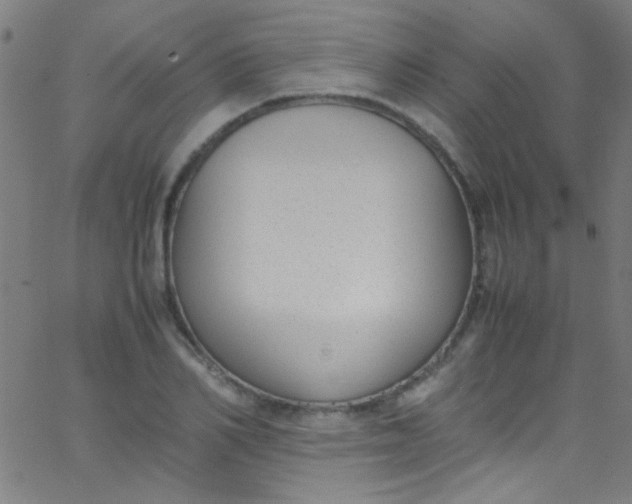 X0000067950982200604272055