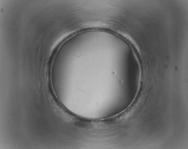 X0000067950983200604272055