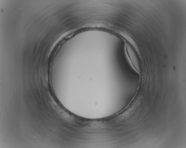 X0000067950984200604272055