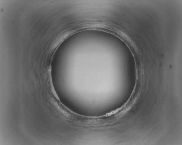 X0000067950985200604272055