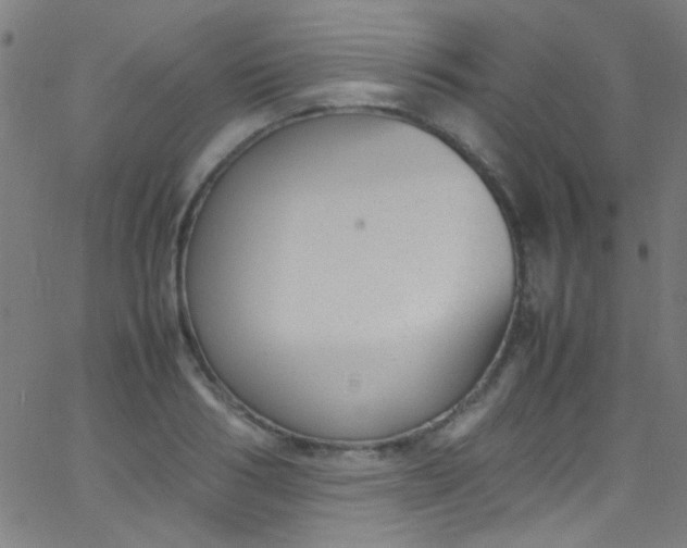 X0000067950986200604272055