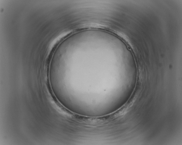 X0000067950987200604272055